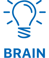 BRAIN
